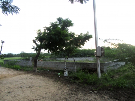 5) Li Id : 179 - Pic 6.JPG